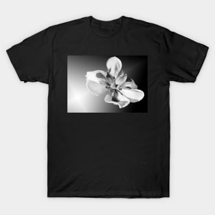 Floating T-Shirt